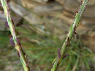 Img.VTax4204.Ex1.Img1