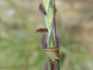Img.VTax4204.Ex1.Img3