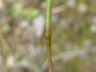 Img.VTax4204.Ex1.Img5