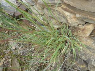 Img.VTax4204.Ex2.Img3
