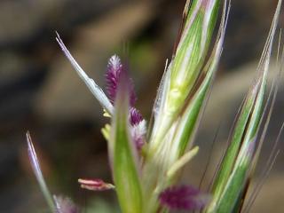 Img.VTax4204.Ex2.Img5