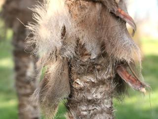Img.VTax4314.Ex2.Img1