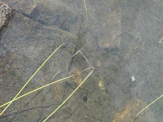 Img.VTax4333.Ex1.Img4