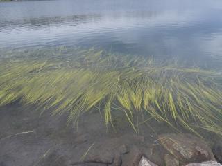 Img.VTax4333.Ex1.Img5