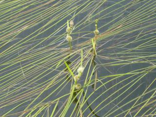 Img.VTax4333.Ex1.Img6