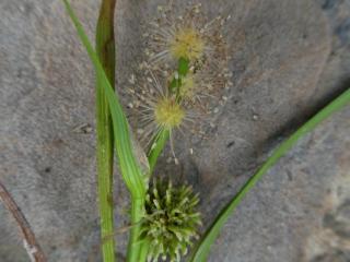 Img.VTax4333.Ex1.Img8