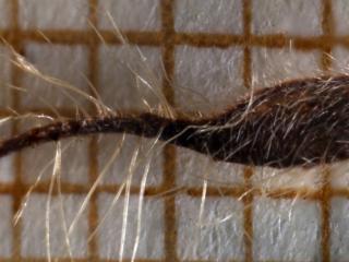 Img.VTax435.Ex2.Img1