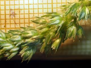 Img.VTax4355.Ex1.Img3