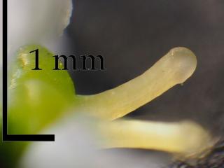 Img.VTax4364.Ex1.Img3