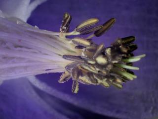 Img.VTax4366.Ex1.Img3