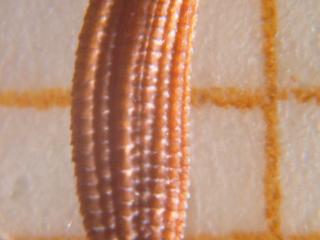 Img.VTax4452.Ex1.Img1