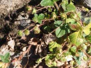 Img.VTax451.Ex1.Img1