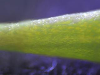 Img.VTax4515.Ex1.Img3