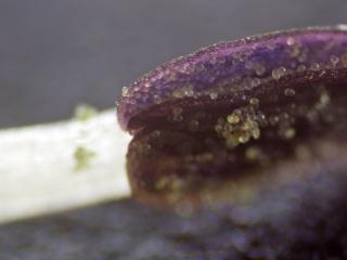 Img.VTax4515.Ex1.Img7