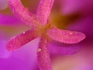 Img.VTax4519.Ex1.Img1