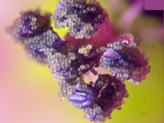 Img.VTax4519.Ex1.Img5