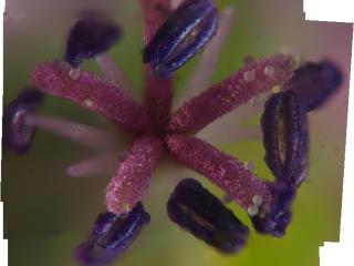 Img.VTax4519.Ex1.Img6