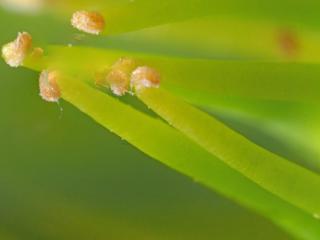 Img.VTax4533.Ex1.Img10