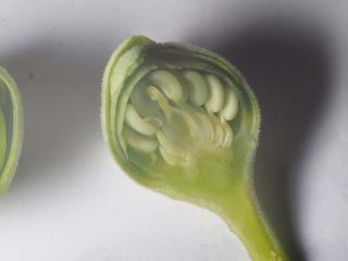 Img.VTax4533.Ex1.Img11