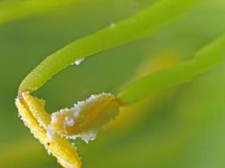Img.VTax4533.Ex1.Img8