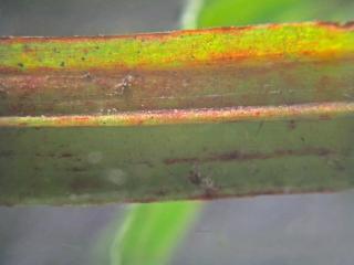 Img.VTax4544.Ex1.Img10