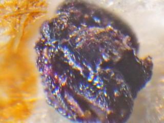 Img.VTax4544.Ex1.Img9