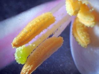 Img.VTax4584.Ex1.Img11
