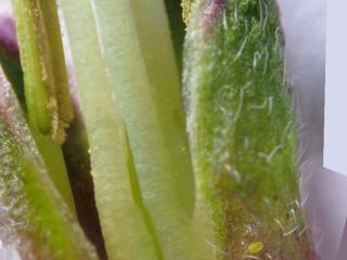 Img.VTax4585.Ex1.Img1