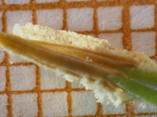 Img.VTax4593.Ex1.Img3