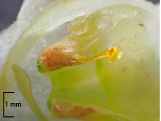 Img.VTax4645.Ex1.Img3