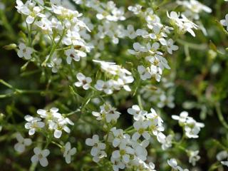 Img.VTax4656.Ex1.Img1