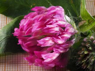 Img.VTax4744.Ex1.Img3