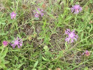 Img.VTax4766.Ex5.Img3