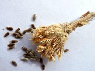Img.VTax4766.Ex7.Img3