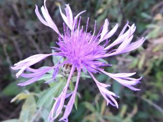 Img.VTax4766.Ex8.Img1