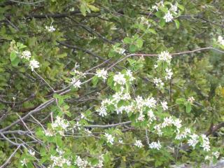 Img.VTax509.Ex3.Img1