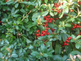 Img.VTax514.Ex2.Img1