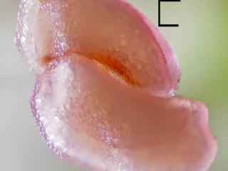 Img.VTax516.Ex2.Img1