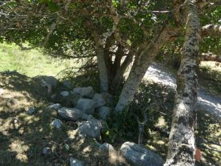 Img.VTax525.Ex1.Img4