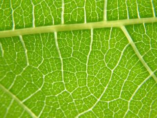 Img.VTax553.Ex1.Img6