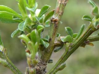 Img.VTax576.Ex1.Img6