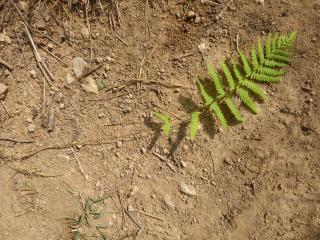 Img.VTax59.Ex3.Img1
