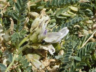 Img.VTax604.Ex2.Img6