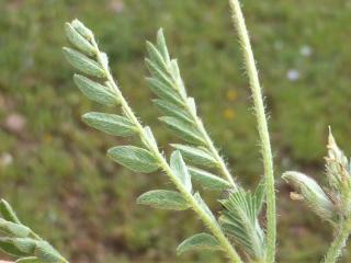Img.VTax619.Ex1.Img1