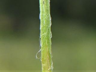 Img.VTax635.Ex1.Img6