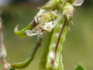 Img.VTax635.Ex2.Img1