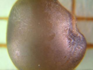 Img.VTax636.Ex1.Img1