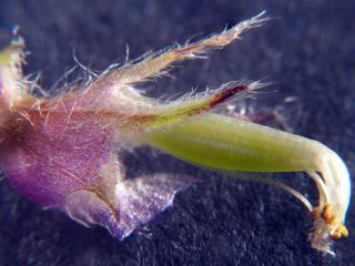 Img.VTax670.Ex1.Img3