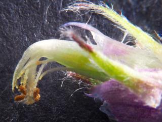 Img.VTax670.Ex1.Img8