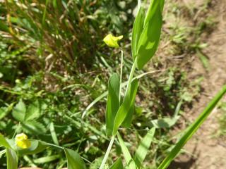Img.VTax678.Ex1.Img1